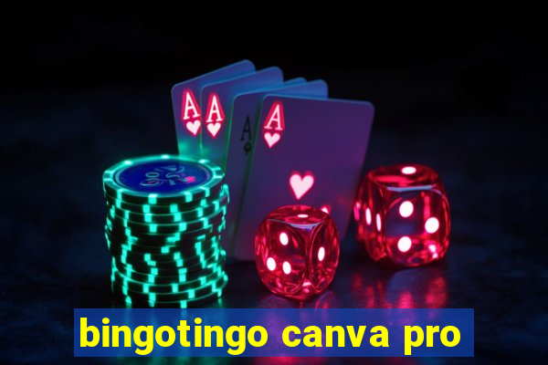 bingotingo canva pro